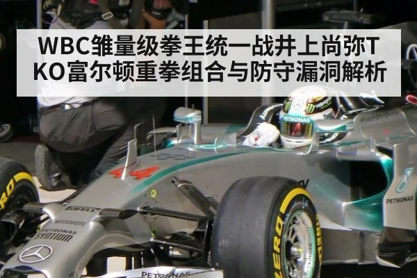 WBC雏量级拳王统一战井上尚弥TKO富尔顿重拳组合与防守漏洞解析